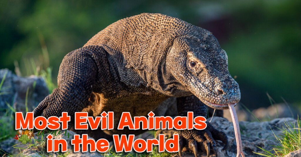 Top 12 Most Evil Animals in the World